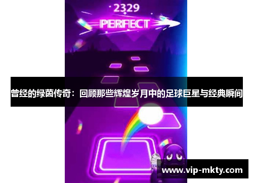 曾经的绿茵传奇：回顾那些辉煌岁月中的足球巨星与经典瞬间