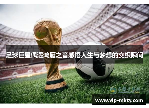 足球巨星偶遇鸿雁之音感悟人生与梦想的交织瞬间